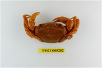 藏品(拉氏清溪蟹)的圖片